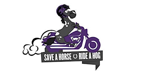 Save a Horse Ride a Hog primary image