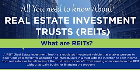 INVESTMENT IN REAL ESTATE (REITS) primary image
