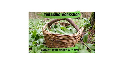 Spring foraging workshop tickets