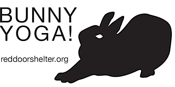Bunny Yoga!