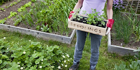 Sustainability - Create Your Own Veggie Bed @ Yanchep Two Rocks Library tickets