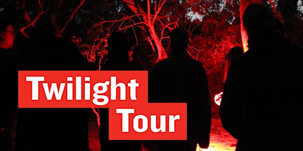 Twilight tour