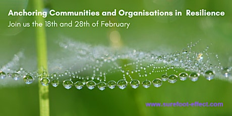 Anchoring Communities and Organisations in Resilience Tickets