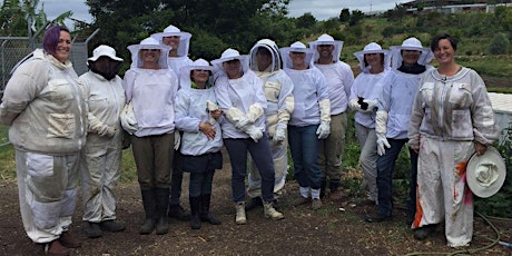 Full Day Beekeeping Course In Beautiful Wombarra tickets