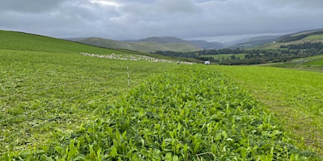 Livestock within an Agroecological Farming System: Lothian and Borders tickets