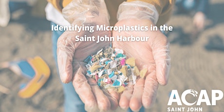Identifying Microplastics in the Saint John Harbour tickets