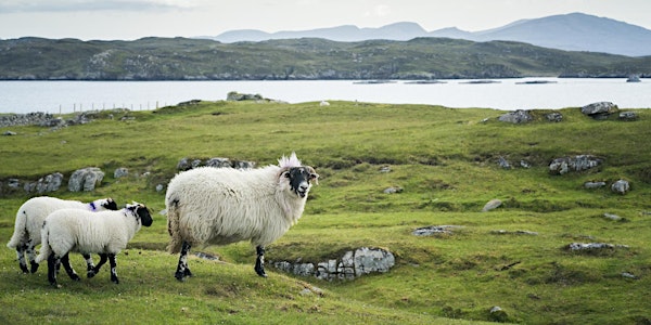 SRUC Scottish Sheep Industry Conference