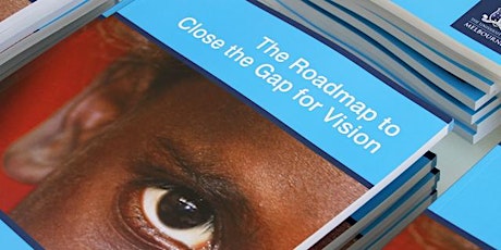 The Roadmap to Close the Gap for Vision - Where are we on the path? primary image
