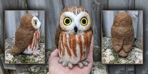 Needle Felt a Northern Saw-whet Owl Virtual Class