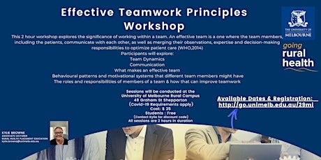 Effective Teamwork Principles