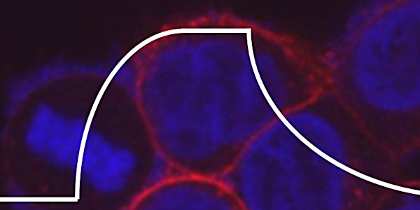 Attana (QCM) Biosensor Networking Meeting