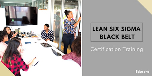 Lean Six Sigma Black Belt (LSSBB) 4 Days Classroom  Training in Odessa, TX