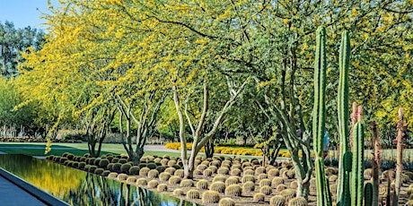 Sunnylands & Beyond:  a day exploring landscape architecture in the desert primary image