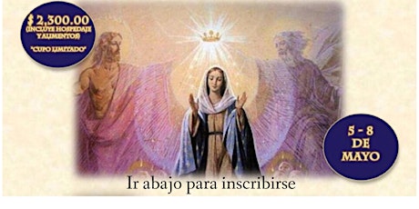 María, Espíritu Santo y Divina Voluntad primary image