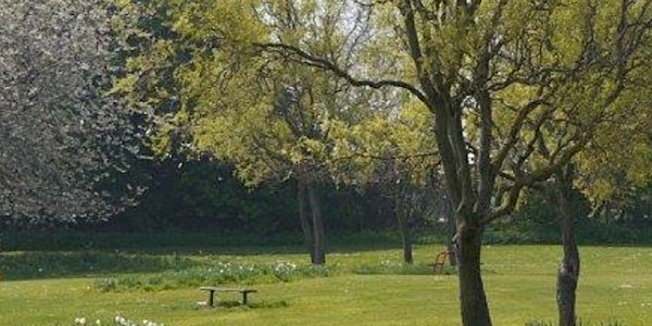 Richmond Park Tree Planting 12 Jan 2022