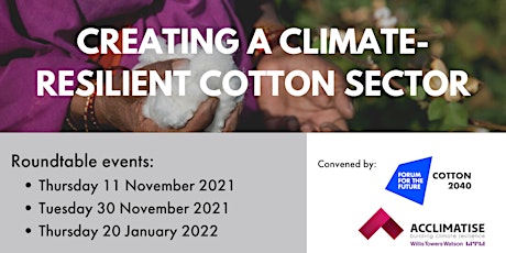 Creating a climate-resilient cotton sector| Roundtable events primary image