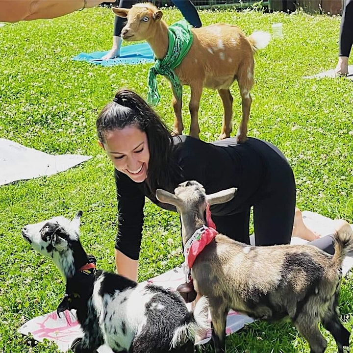 Goat Yoga On The Farm image