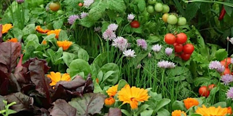 Design Your Vegetable Garden!  primärbild