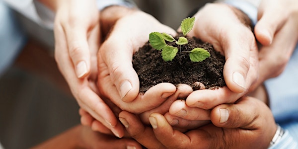Avviare e gestire un'attività lavorativa nel Non Profit