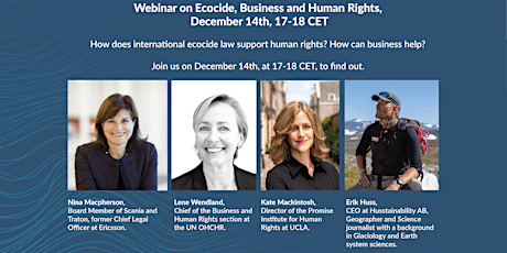 Ecocide, Business and Human Rights  primärbild