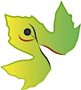 Logotipo de Fundación Sicomoro