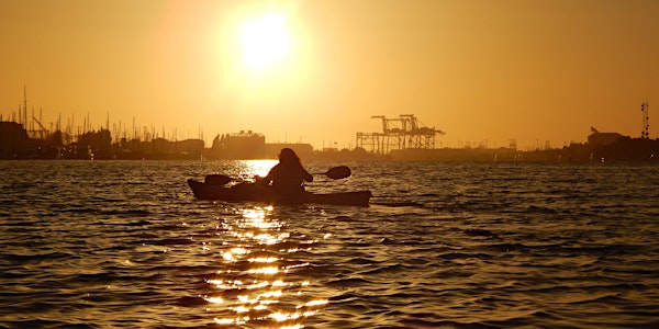 Sunset Kayaking Tour
