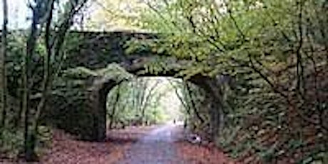 Pi Society Plymouth - New Year Walk from Plymbridge to Clearbrook tickets