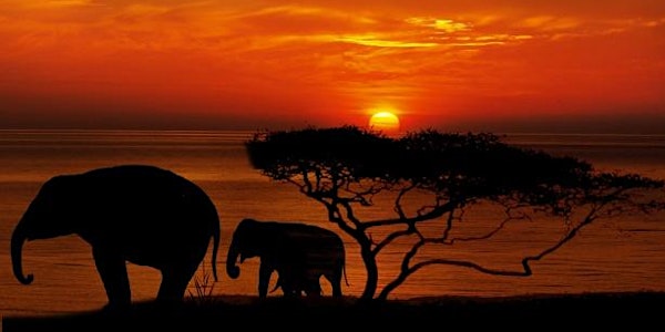 African Series Spring Workshop