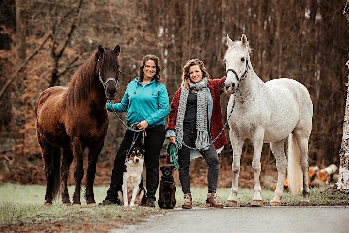 
		In Touch Animal - ätherische Öle und ihre sichere Anwendung bei Tieren: Bild 
