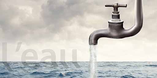 Les Maîtres de l'eau en terre d'islam : savoirs et savoir-faire hydraulique