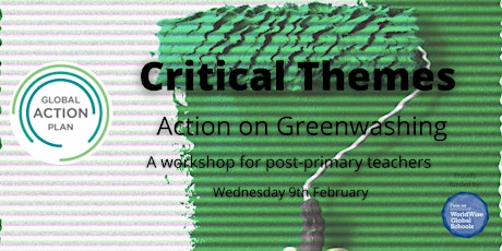 Critical Themes: Action on Greenwashing tickets