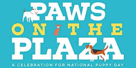 Pawz on the Plaza 2022 Vendor Application tickets