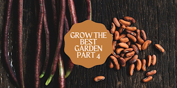 Grow the Best Garden #4: Extending Your Harvest & Seed Saving