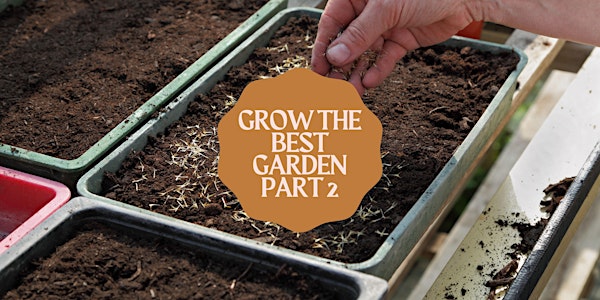 Grow the Best Garden #2: Seeding Techniques and Garden Care