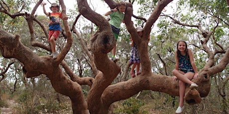 Lane Cove Bush Kids - Hug a Tree! tickets