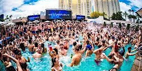 Wildest Pool Parties in Miami primary image