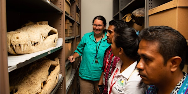 Tour: Behind the Scenes | MAGNT's Natural Science Collection stores