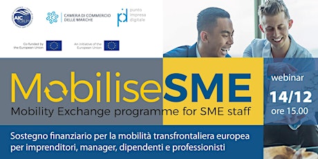 Webinar "MobiliseSME: Mobility Exchange Programme for  SME Staff"