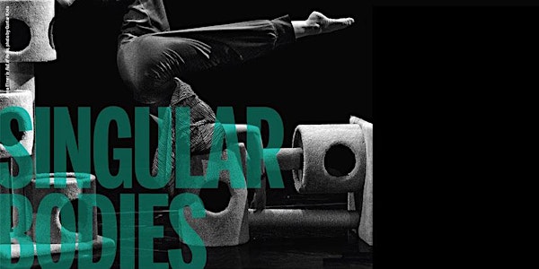 Singular Bodies