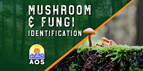Mushroom and Fungi ID