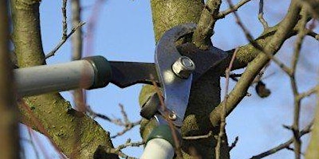 Community Orchard and Meadow - Fruit Pruning Workshops tickets