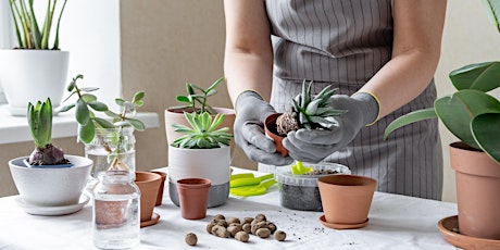Succulent and House Plant Gardening (Webinar) tickets