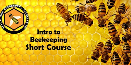 2022 Apalachee Beekeepers Intro to Beekeeping Short Course tickets