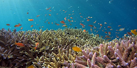 Coral Reefs in a Warming World tickets