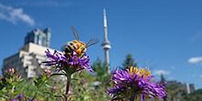 Beekeeping in Ontario, Canada: Pests, pollination and honey production.