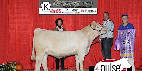 Free Cattle Fitting & Showmanship Clinic primary image