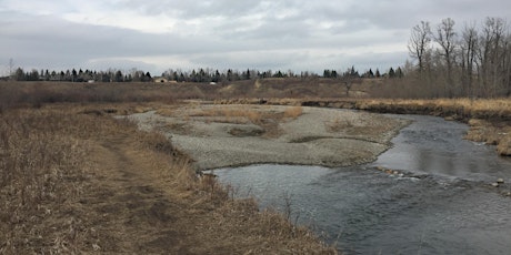 TUC-Bow River Chapter Riparian Restoration Work Days primary image