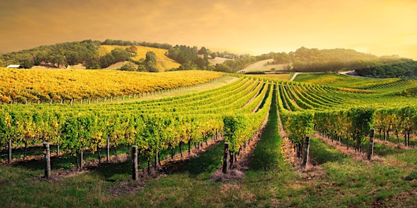 Tuesday Tutorials: Climate in Wine - 1st February 2022 6.30pm