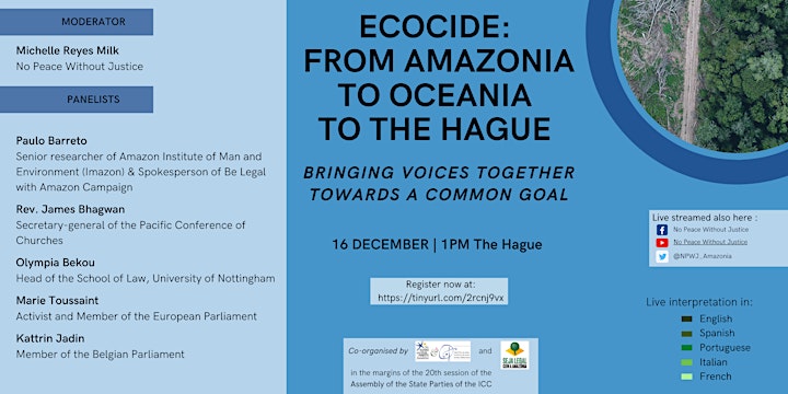 Ecocide: Bringing voices together towards a common goal image
