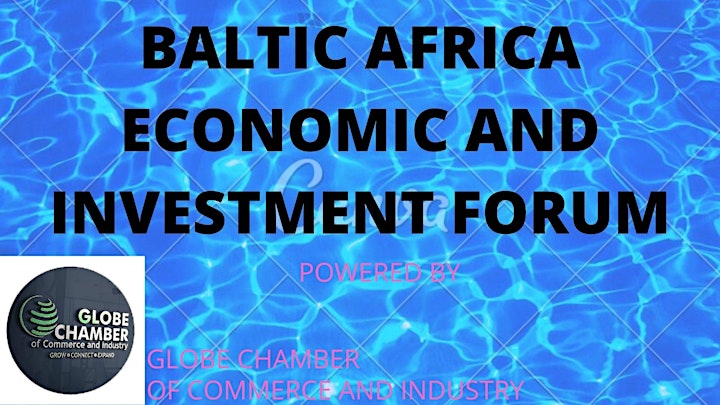 
		BALTIC AFRICA ECONOMIC AND INVESTMENT FORUM image
